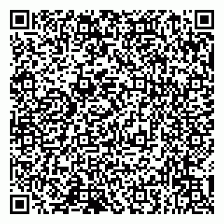 vCard 79993833241