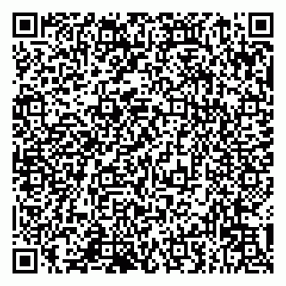 vCard 79993833245