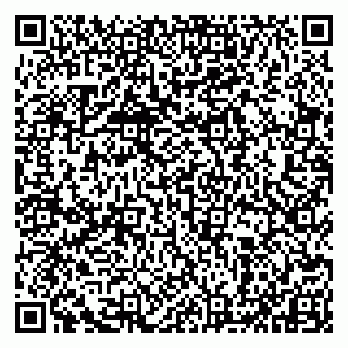 vCard 79993833246