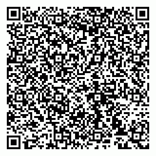 vCard 79993833248