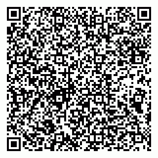 vCard 79993833251