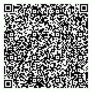 vCard 79993833252