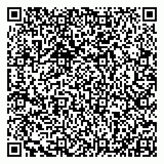 vCard 79993833253