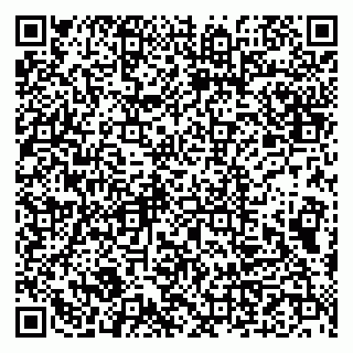 vCard 79993833265