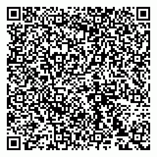 vCard 79993833270
