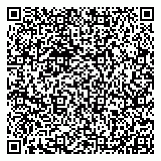 vCard 79993833272