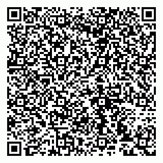 vCard 79993833273