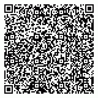 vCard 79993833274