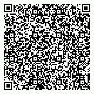 vCard 79993833275