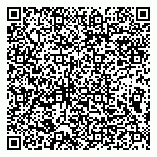 vCard 79993833277