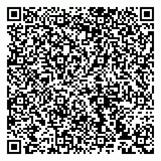 vCard 79993833280