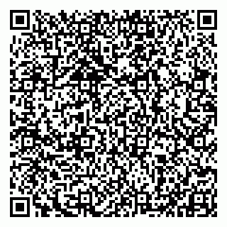 vCard 79993833281