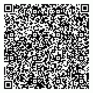 vCard 79993833285