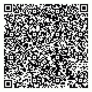 vCard 79993833287