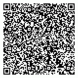 vCard 79993833288