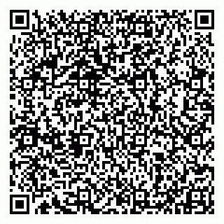 vCard 79993833289