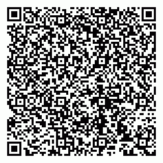 vCard 79993833291