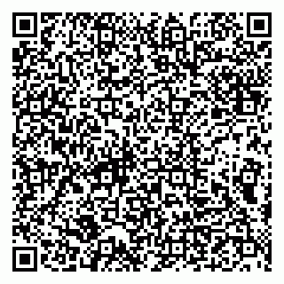 vCard 79993833293