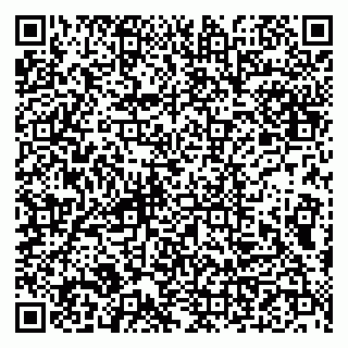 vCard 79993833295