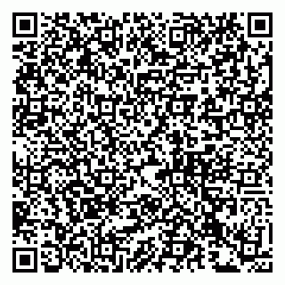 vCard 79993833298