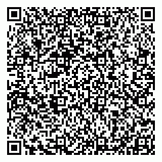 vCard 79993833304