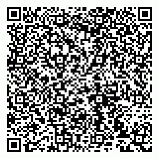 vCard 79993833305