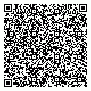 vCard 79993833308