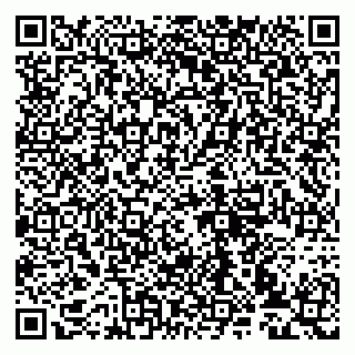 vCard 79993833312