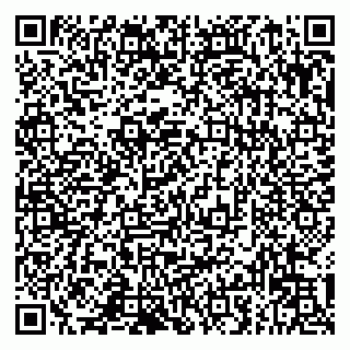 vCard 79993833314