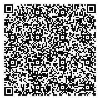 vCard 79993833315
