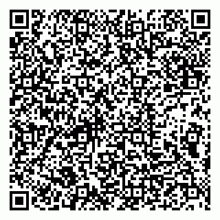 vCard 79993833317