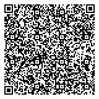 vCard 79993833319