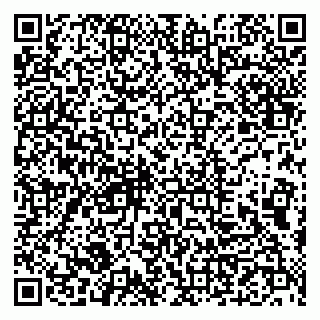 vCard 79993833321