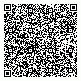 vCard 79993833327