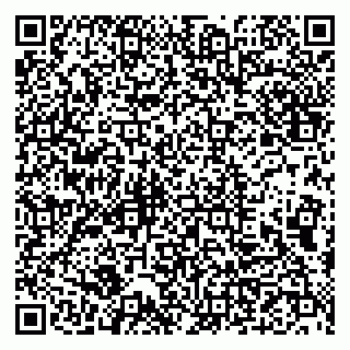 vCard 79993833328