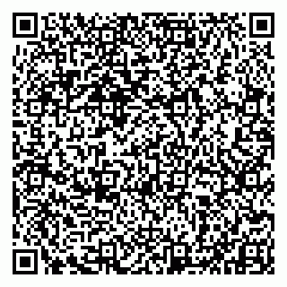 vCard 79993833330