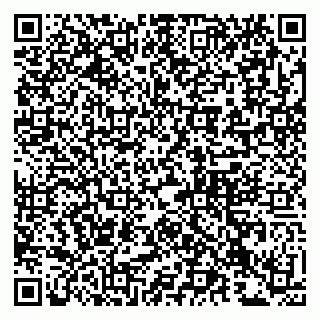 vCard 79993833340