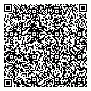 vCard 79993833341