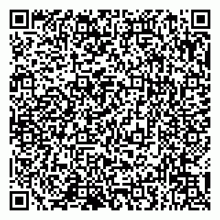 vCard 79993833343
