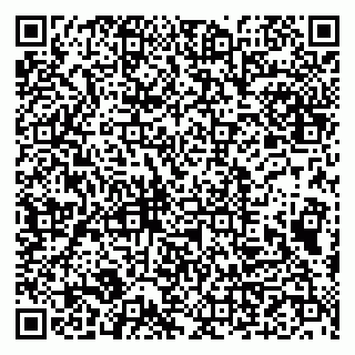 vCard 79993833344