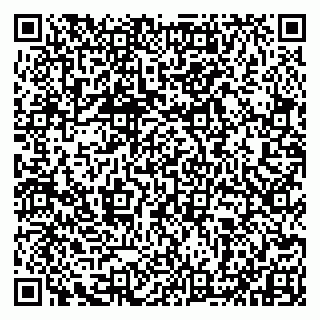vCard 79993833346