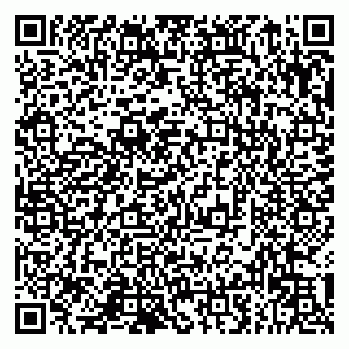 vCard 79993833347