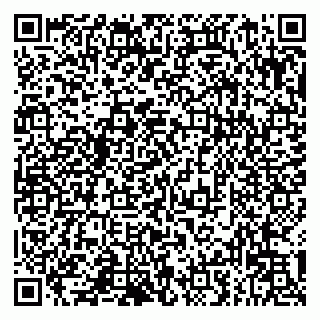 vCard 79993833351