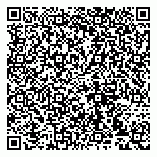 vCard 79993833353