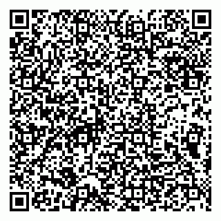 vCard 79993833370