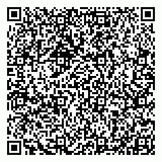 vCard 79993833371