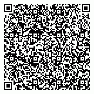 vCard 79993833373