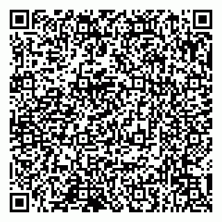 vCard 79993833374