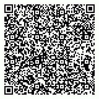 vCard 79993833375