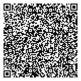 vCard 79993833379